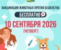 В Заречном пройдёт вакцинация домашних животных от бешенства