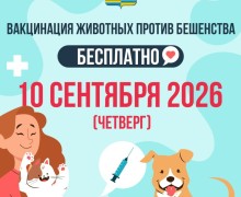 В Заречном пройдёт вакцинация домашних животных от бешенства