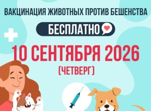 В Заречном пройдёт вакцинация домашних животных от бешенства