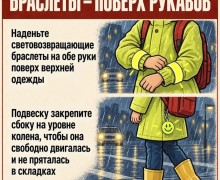 ГИБДД напоминает зареченским школьникам о световозвращателях