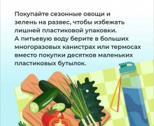 Как провести выходные на природе экологично: советы от регоператора
