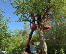 Чтобы город был красивы, за ним надо ухаживать