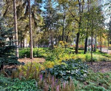 Кажется, последний день лета на Среднем Урале выпал на 23 сентября