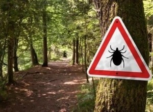 За неделю в Заречном 22 человека пострадали от укусов клещей