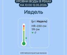 Весеннее половодье в Свердловской области: ситуация на 7 затопленных мостах и 19 населённых пунктах