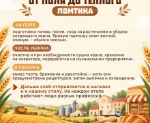 16 октября отмечается Всемирный день хлеба