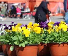 Уважаемые жители!