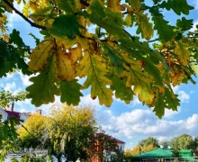 Кажется, последний день лета на Среднем Урале выпал на 23 сентября