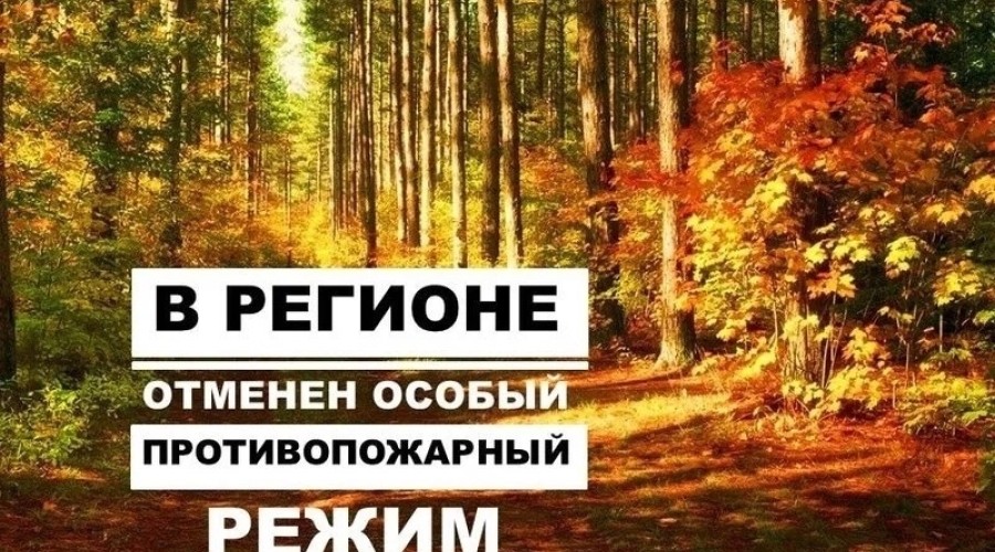 Особый противопожарный режим отменен в Свердловской области, но не везде