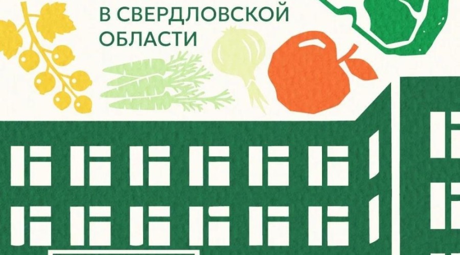 Как устроено питание в школах Свердловской области