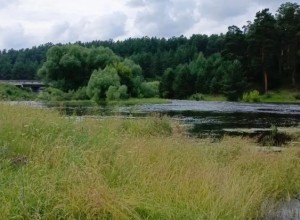 В Белоярском районе усилены меры безопасности на водоемах в купальный сезон