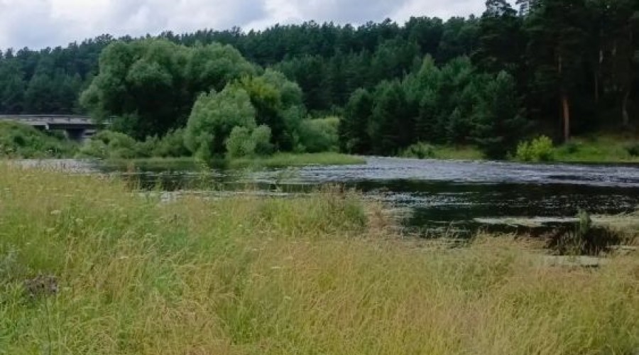 В Белоярском районе усилены меры безопасности на водоемах в купальный сезон