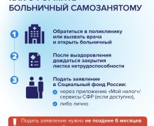 Самозанятые жители Заречного смогут получать оплачиваемый больничный с 2026 года
