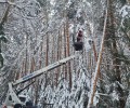 Электроснабжение после снежной бури восстановлено в большинстве муниципалитетов Среднего Урала