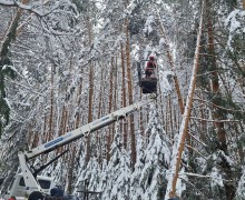 Электроснабжение после снежной бури восстановлено в большинстве муниципалитетов Среднего Урала