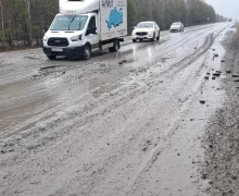 Будьте осторожны по дороге в Асбест (особенно в тёмное время суток)