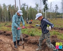 Больше 5 тысяч деревьев высадили в субботу, 6 сентября на территории Заречного