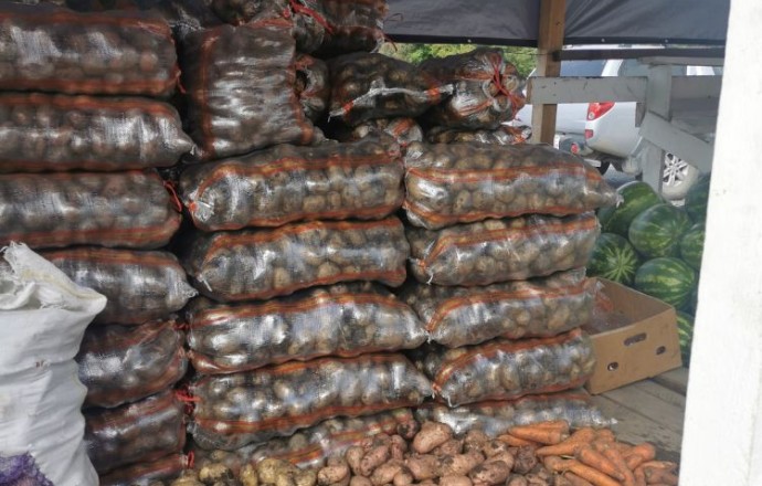 Продам картофель с бесплатной доставкой