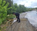 Госавтоинспекция Свердловской области сообщает об ограничениях на дорогах региона 13 июля 2026 года