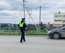 Сотрудники Госавтоинспекции Заречного провели очередное профилактическое мероприятие «Ребенок-пассажир», в ходе которого вблизи расположения детских образовательных учреждений в п