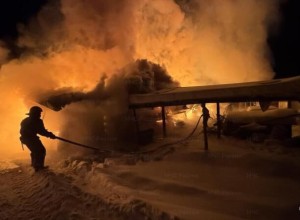 Пожар в деревне Боярка унёс жизни 15 лошадей