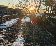 Продам садовый участок 3.5 соток в СНТ Дружба