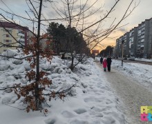 Как скажется зимняя уборка на зареченских деревьях, увидим по весне