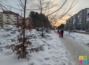 Как скажется зимняя уборка на зареченских деревьях, увидим по весне