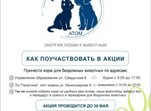 Одна из самых добрых общегородских акций - Пушистый атом - стартовала!