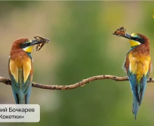 Подведены итоги конкурса «Красная ящерица – 2025»!