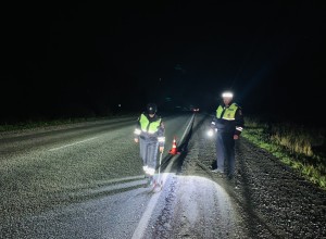 В Белоярке на трассе насмерть разбился 33-летний мужчина