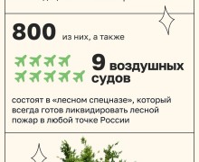 Сократить площадь лесных пожаров в России вдвое к 2030 году 