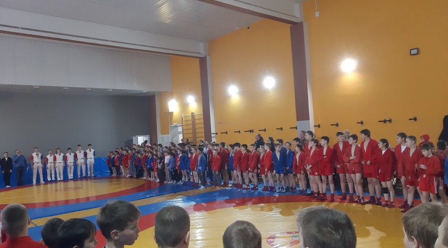 Результат 8 зареченских самбистов - 7 медалей!