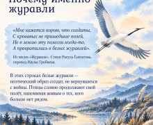 22 октября в России и мире отмечают День белых журавлей