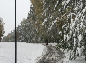  ИТОГИ НЕДЕЛИ ЖКХ И БЛАГОУСТРОЙСТВО