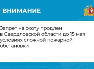 Запрет на охоту в Свердловской области продлен до 15 мая