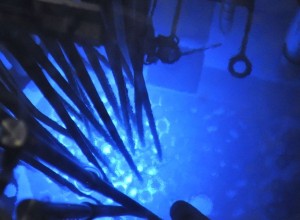 Главные по науке