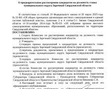 В Заречном стартовала процедура выбора нового главы муниципалитета