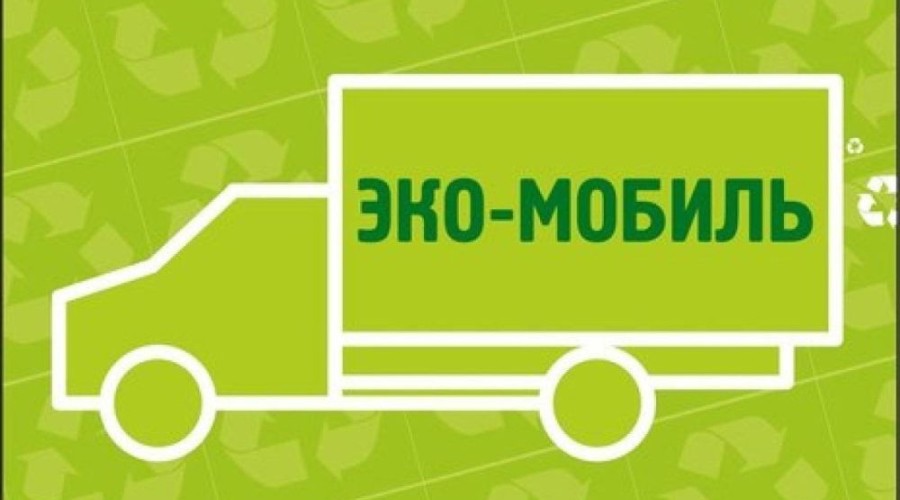 Муниципальной акции Экомобиль в нынешнем году не будет, зато появятся стационарные Экобоксы