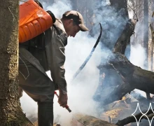 Сократить площадь лесных пожаров в России вдвое к 2030 году 