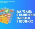 Выписка о назначенных выплатах и пособиях теперь доступна на Госуслугах