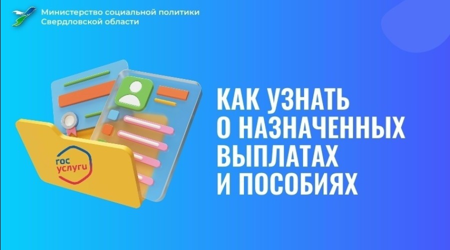 Выписка о назначенных выплатах и пособиях теперь доступна на Госуслугах