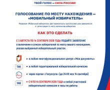Заявления для участия в ДЭГ и голосовании по месту нахождения принимаются с 3 августа