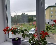 Продаётся светлая 1-комнатная квартира в Белоярском на Отрадной, 16