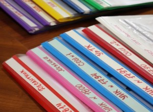 Избирательный комиссии Заречного полностью готовы к проведению выборов по новой системе