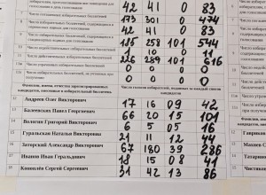 В округе №2 победил Александр Заторский, набравший 286 голосов