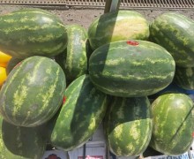 Свежие фрукты в Заречном
