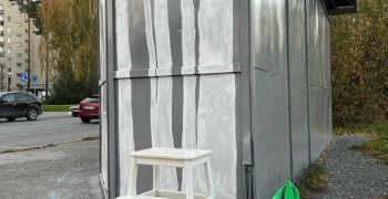 В Заречном художница украшает ещё одну остановку берёзками
