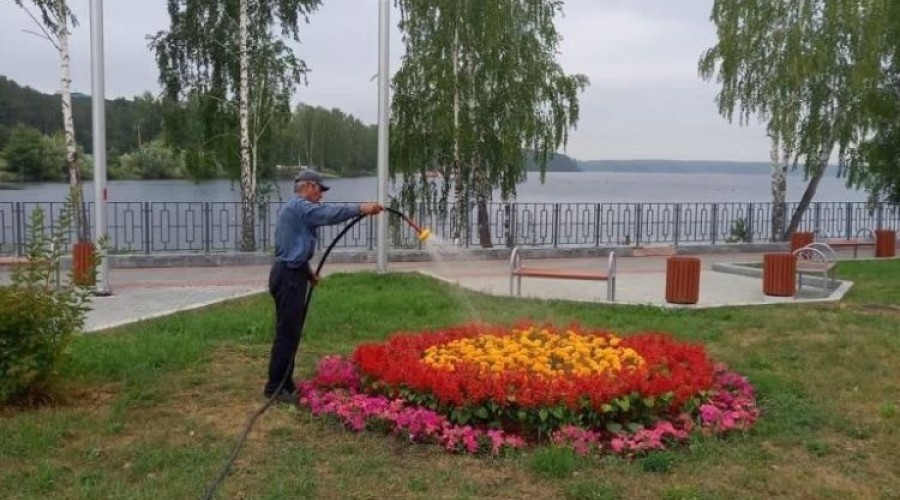 Заречный зацветёт!