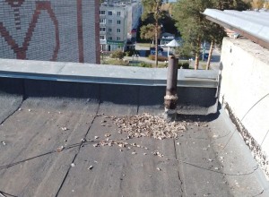 Коммунальщики Заречного провели сезонную чистку кровель